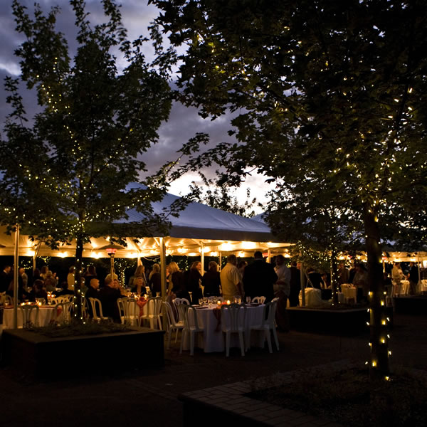 All Star Tents and Party Rental About Our Company Family Owned and